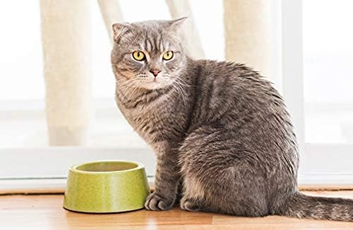 EVCİL hayvan TAKVİYELERİ kedi İdrar Yolu Sağlık Tedavisi-Kediler Toplam Sağlık Kompleksi-Ortak Kat Göz Bağışıklık Destek Formülü-kedi