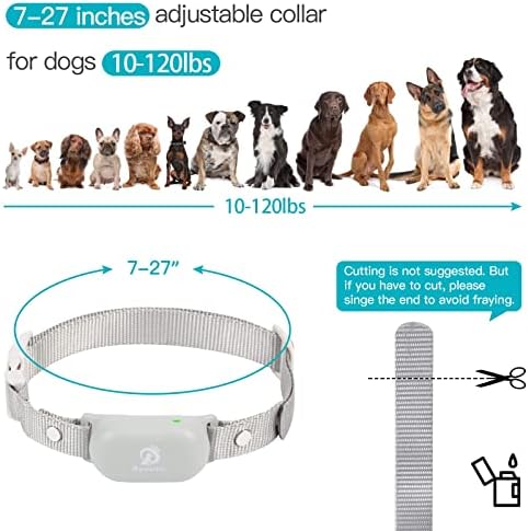 Uzaktan Kumandalı BOUSNİC Köpek Şok Tasması-Büyük Orta Küçük Köpekler için (10-120lbs) Köpek Eğitim Tasması 3 İnsancıl Mod ve