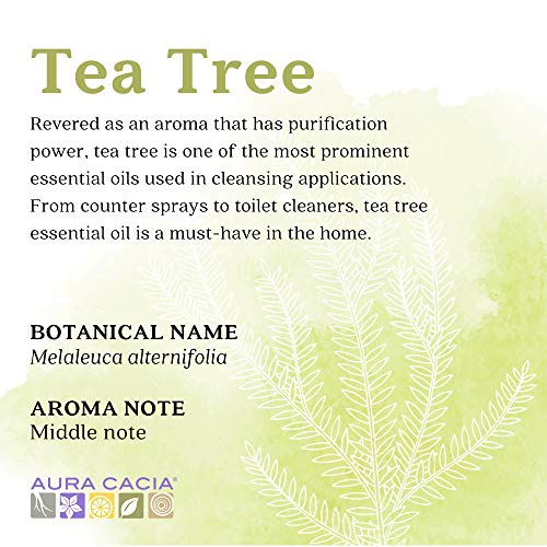 Aura Cacia %100 Saf Çay Ağacı Esansiyel Yağı | GC / MS Saflık Testi / 15 ml (0.5 fl . oz.) kutuda | Melaleuca alternifolia