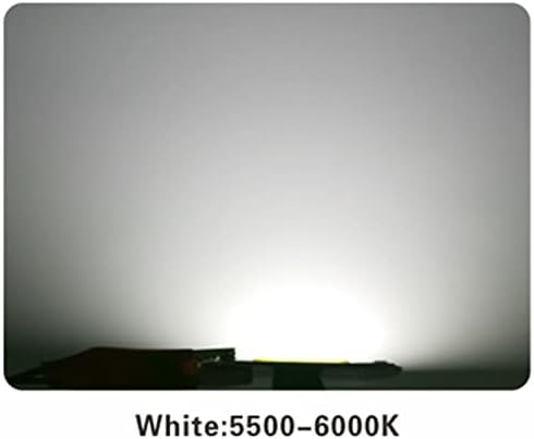 JUSTWEIXING 10 adet / grup LED Çip 220 V 10 W 20 W 30 W LED Çip 50 W Akıllı IC LED Boncuk DIY için LED Projektör Spot Soğuk Beyaz