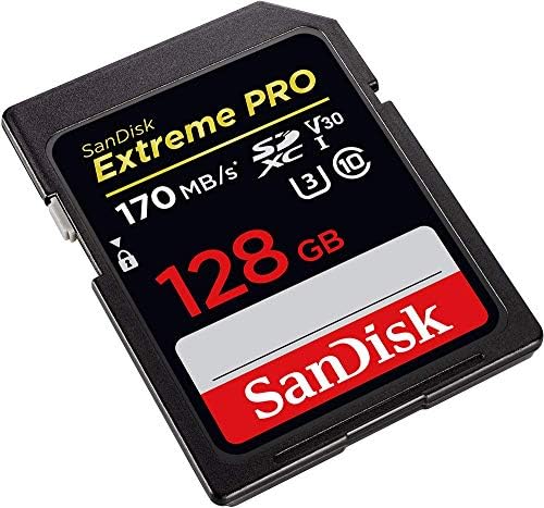 SanDisk 128GB SDXC SD Extreme Pro Hafıza Kartı, Panasonic Lumix DC-S1H Aynasız Dijital Fotoğraf Makinesi (SDSDXXY-128G-GN4IN)