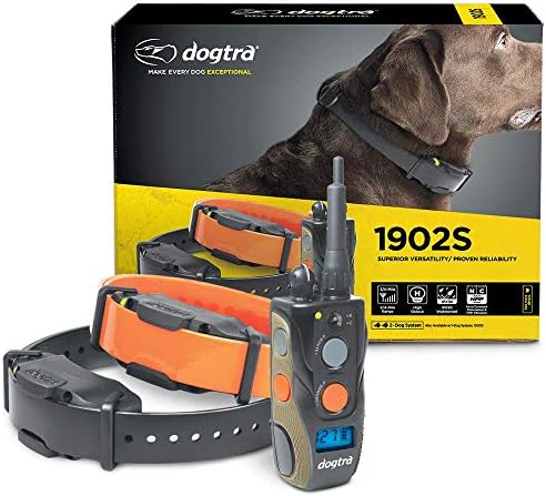 Dogtra 1900 S Serisi: Uzaktan Köpek Eğitim E-Yaka Su Geçirmez Şarj Edilebilir 3/4-Mile Aralığı Yüksek Çıkış