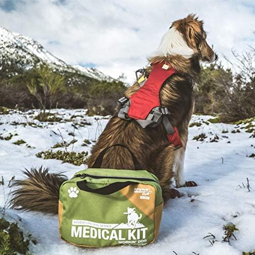 QuikClot ile Macera Tıbbi Kitleri Workin ' Köpek Köpek İlk Yardım Kiti
