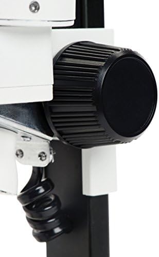 Celestron S20 Taşınabilir Stereo Mikroskop w/20x Güç, Şeffaf Plastikten 2 Böcek Örneği, 2 Adet AA Pil, Üst Aydınlatıcı