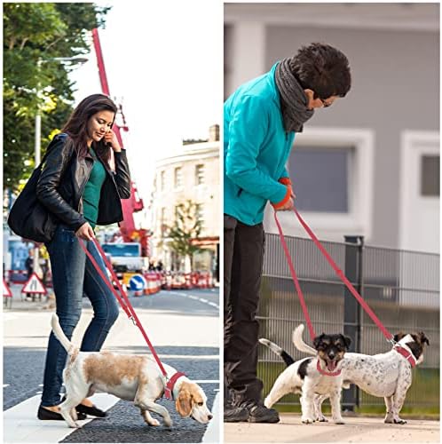 Su geçirmez Köpek Tasması: Yürüyüş için 2 Kancalı Standart Köpek Tasmaları, Trafik Kontrol Güvenliği için Ayarlanabilir Uzunluklar,