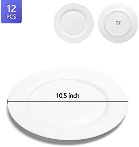 amHomel 12 Parçalı Perdurable Porselen Yemek Tabakları, Akşam Yemeği ve Salata, Restoran, Aile Partisi ve Mutfak Kullanımı için