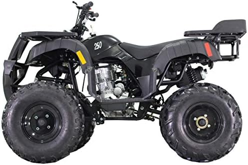 X-PRO Yetişkin ATV Quad Dört Tekerlekli 250 Yardımcı ATV Tam Boy ATV Quad Yetişkin ATV, Siyah