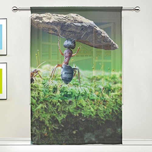 TSWEETHOME pencere dekorasyonları Sırf Perdeleri Perdeler için Karınca ile Oturma Odası, Yatak Odası, Kreş Sürgülü cam kapi Çubuk