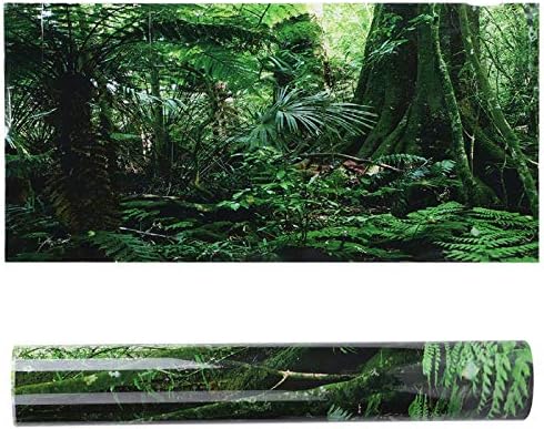 SH-RuiDu PVC Sürüngen Kutusu Rainforest Arka Plan Posteri Balık Tankı Duvar Resmi Boyama Dekorasyon Kendinden Yapışkanlı Etiket